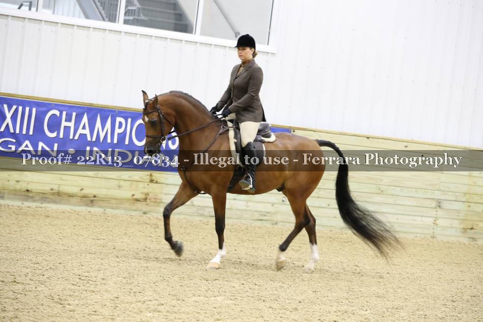 Proof 22R13_07834