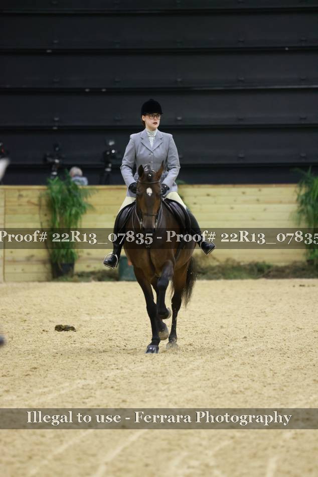 Proof 22R13_07835