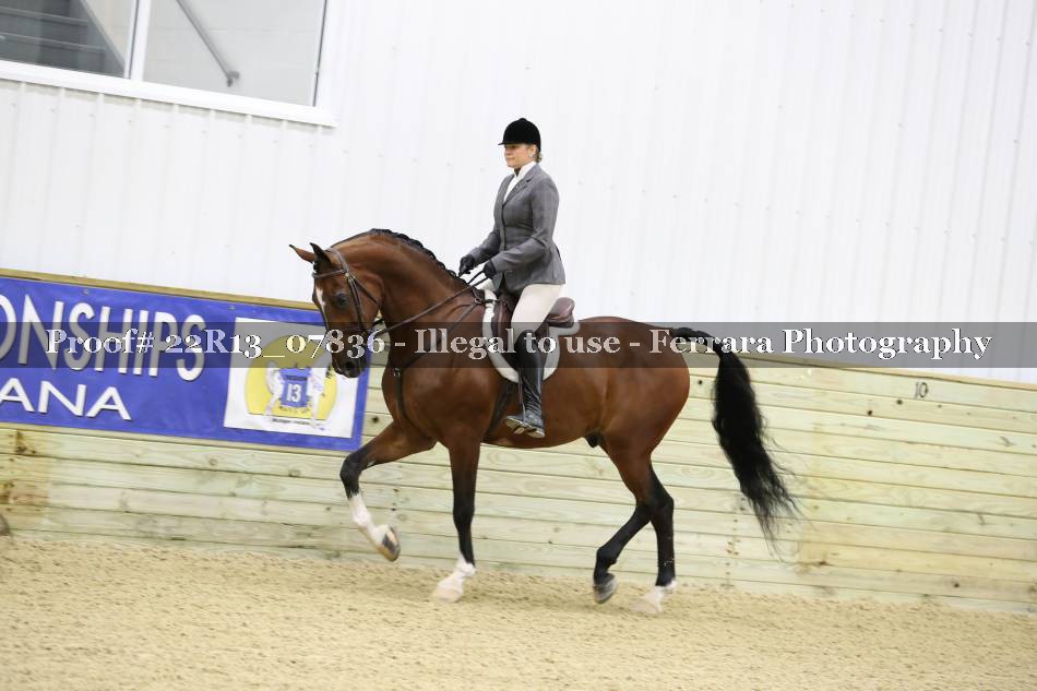 Proof 22R13_07836