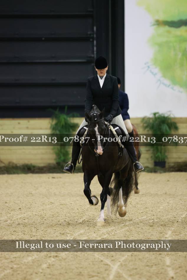 Proof 22R13_07837
