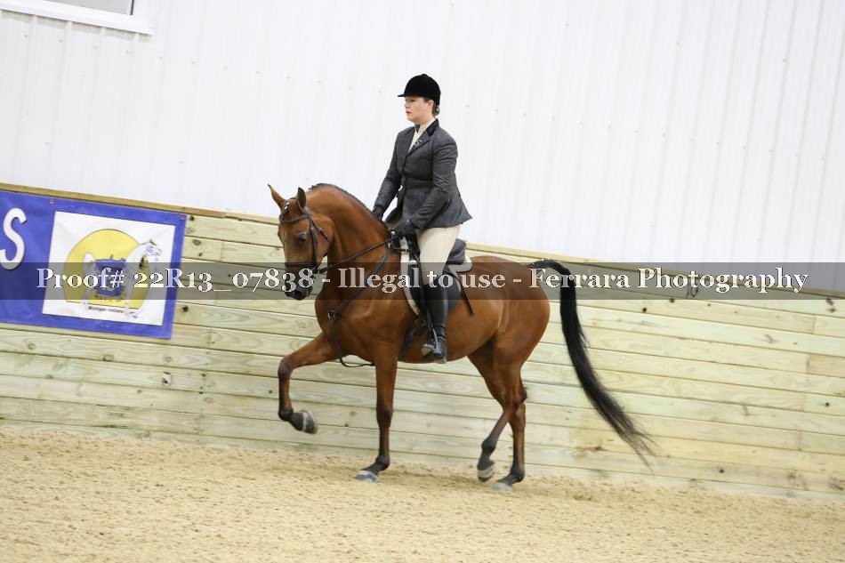 Proof 22R13_07838