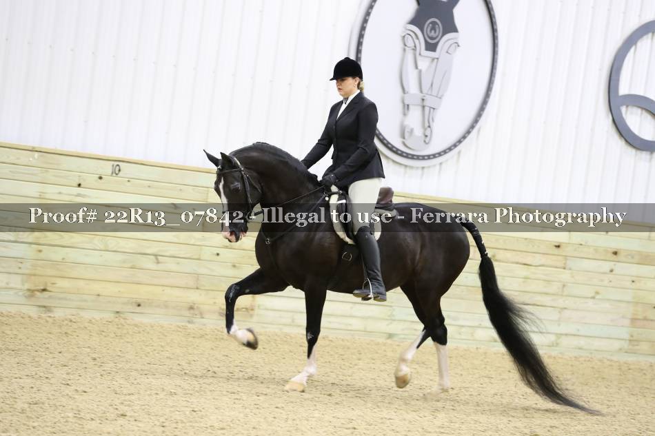 Proof 22R13_07842