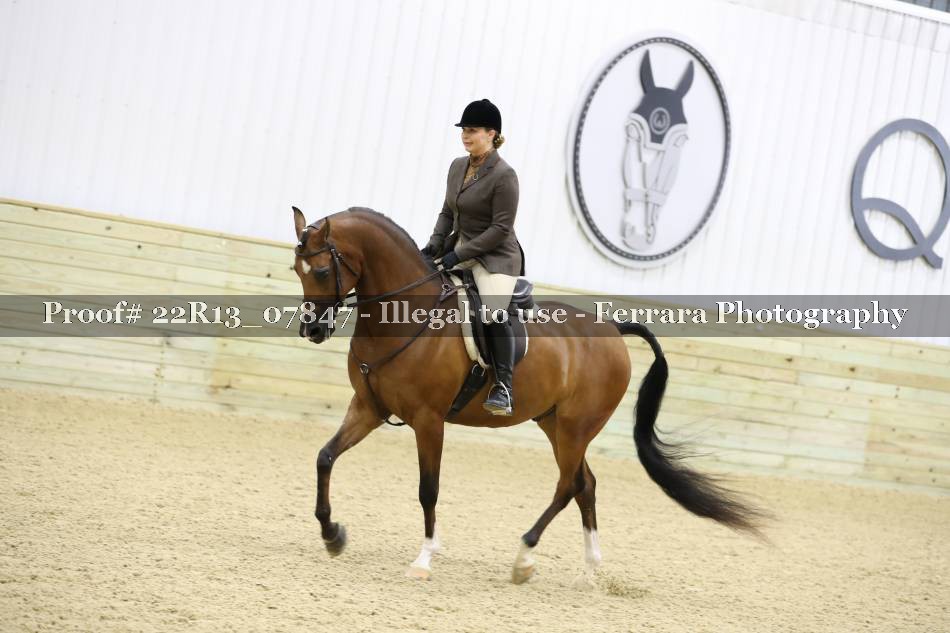 Proof 22R13_07847