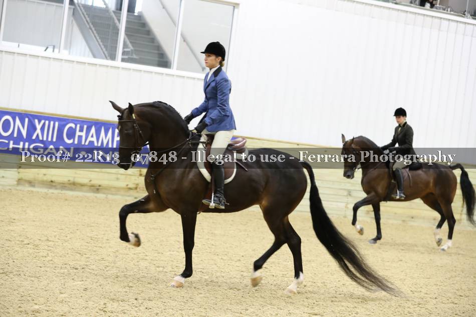 Proof 22R13_07848