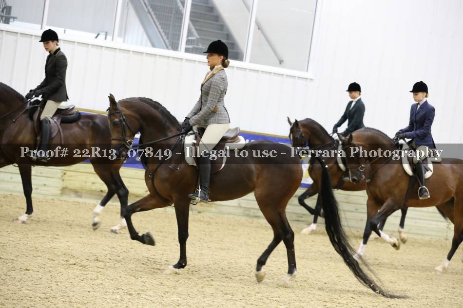 Proof 22R13_07849