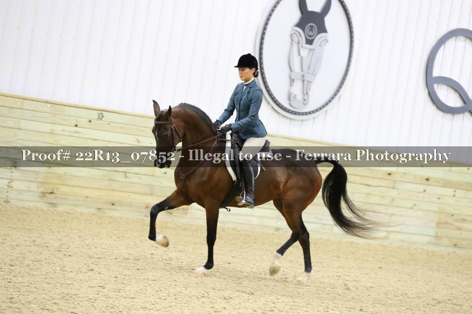 Proof 22R13_07852