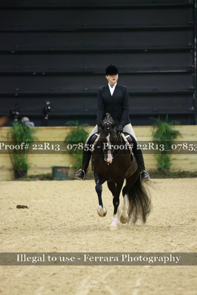 Proof 22R13_07853