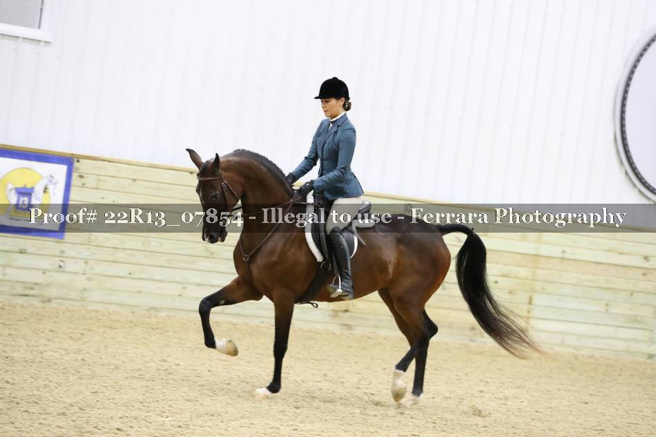 Proof 22R13_07854