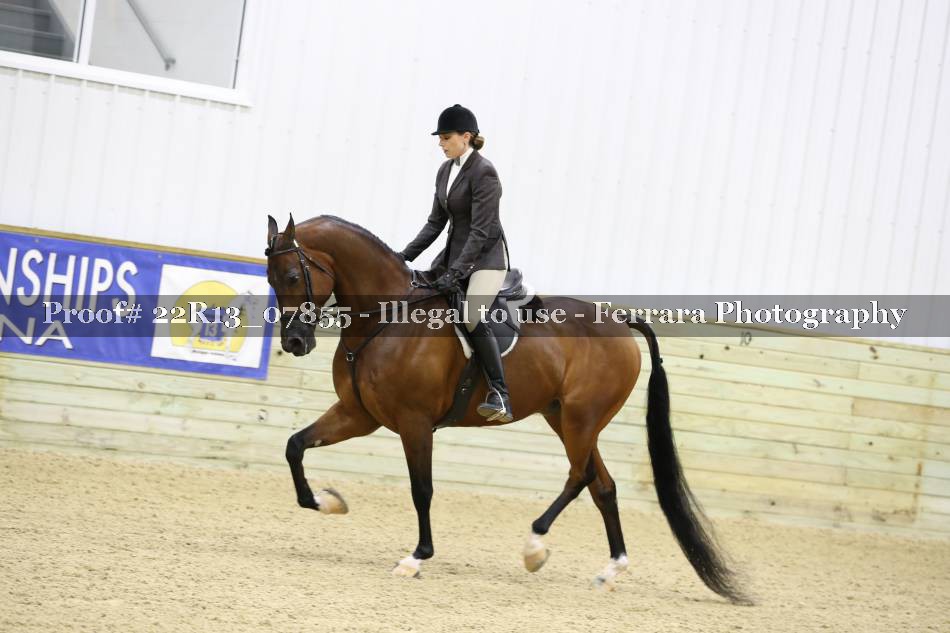 Proof 22R13_07855