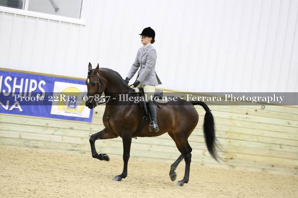 Proof 22R13_07857