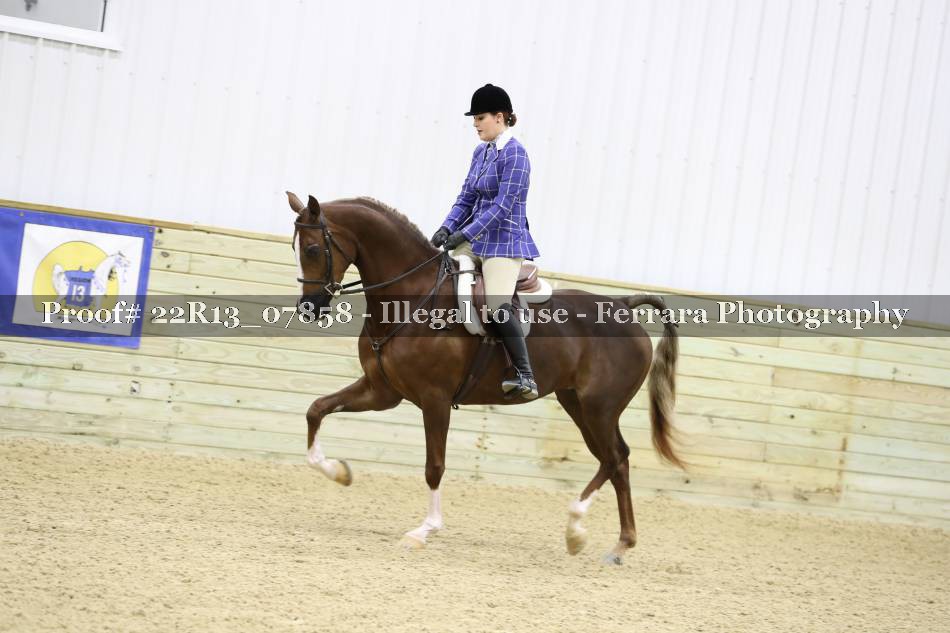Proof 22R13_07858