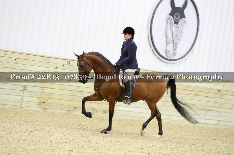Proof 22R13_07859