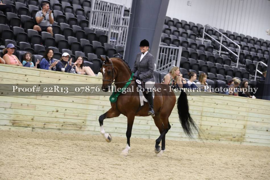 Proof 22R13_07876