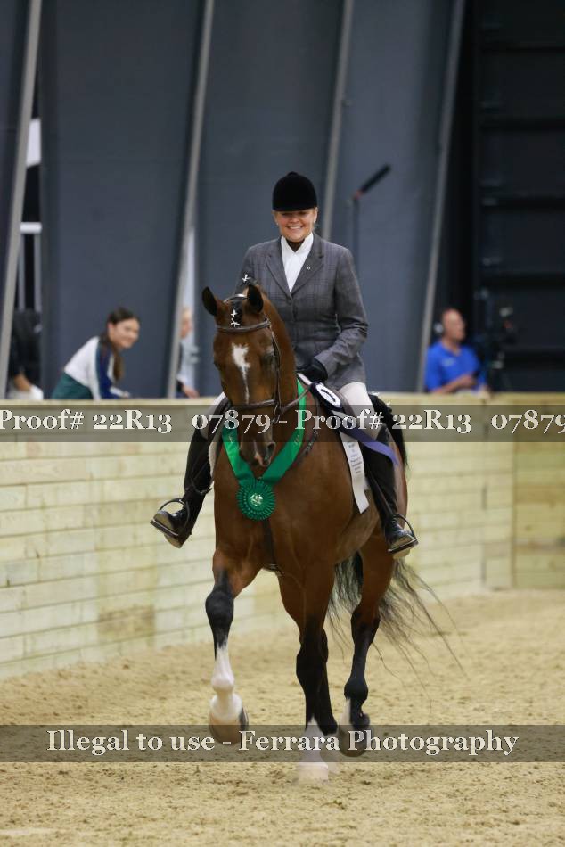 Proof 22R13_07879