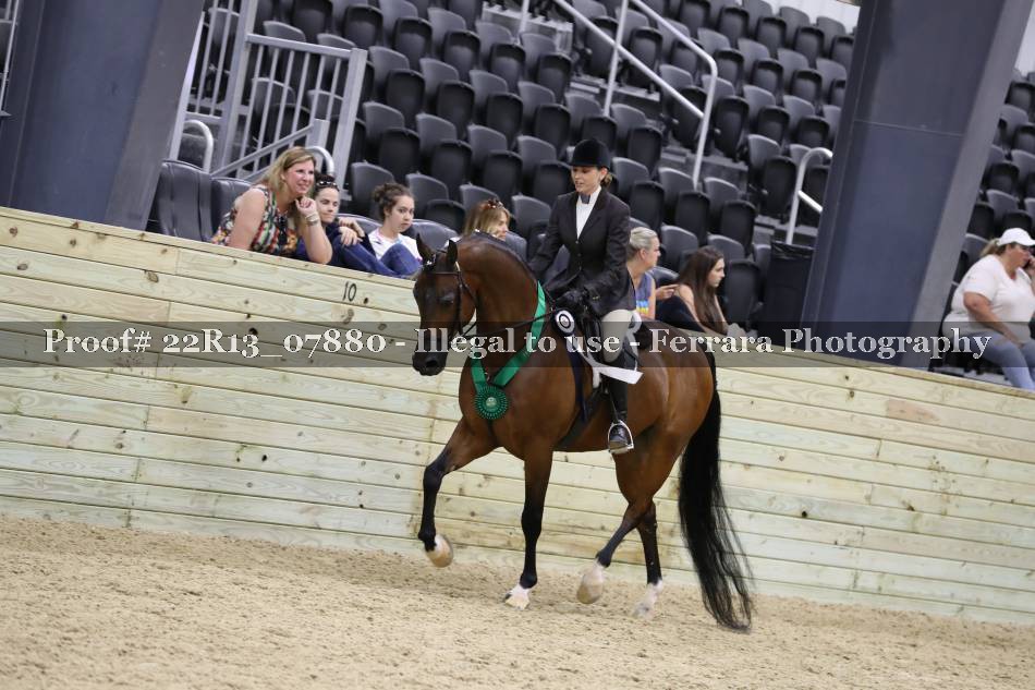 Proof 22R13_07880