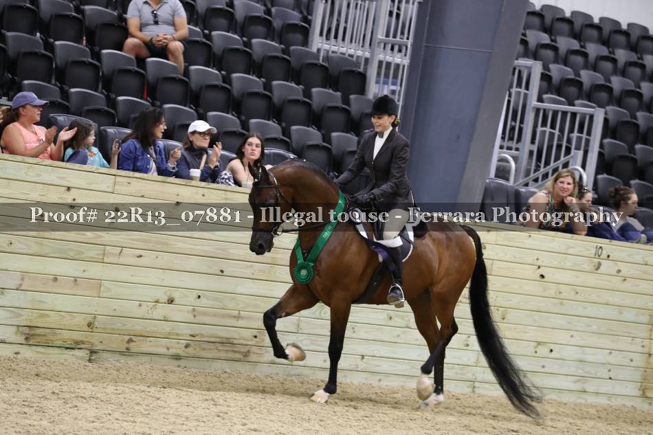 Proof 22R13_07881