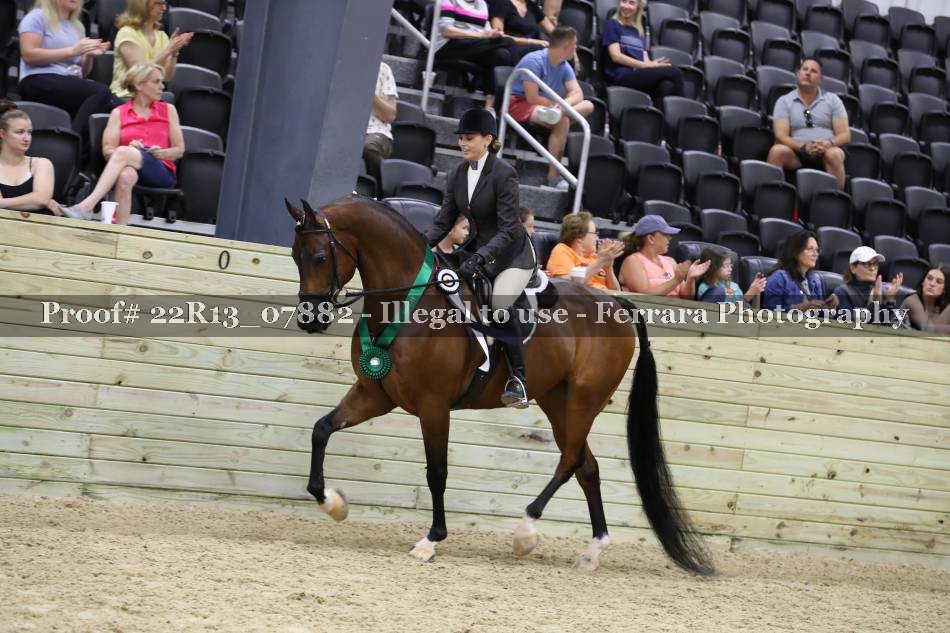 Proof 22R13_07882