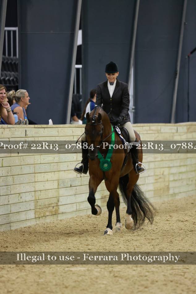 Proof 22R13_07884