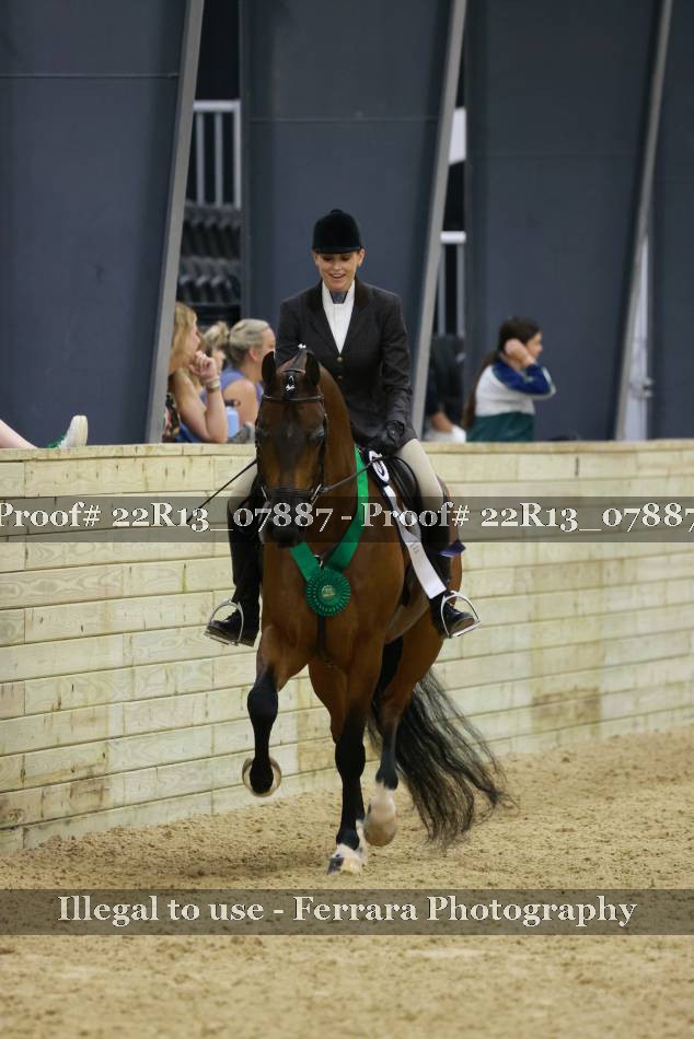 Proof 22R13_07887