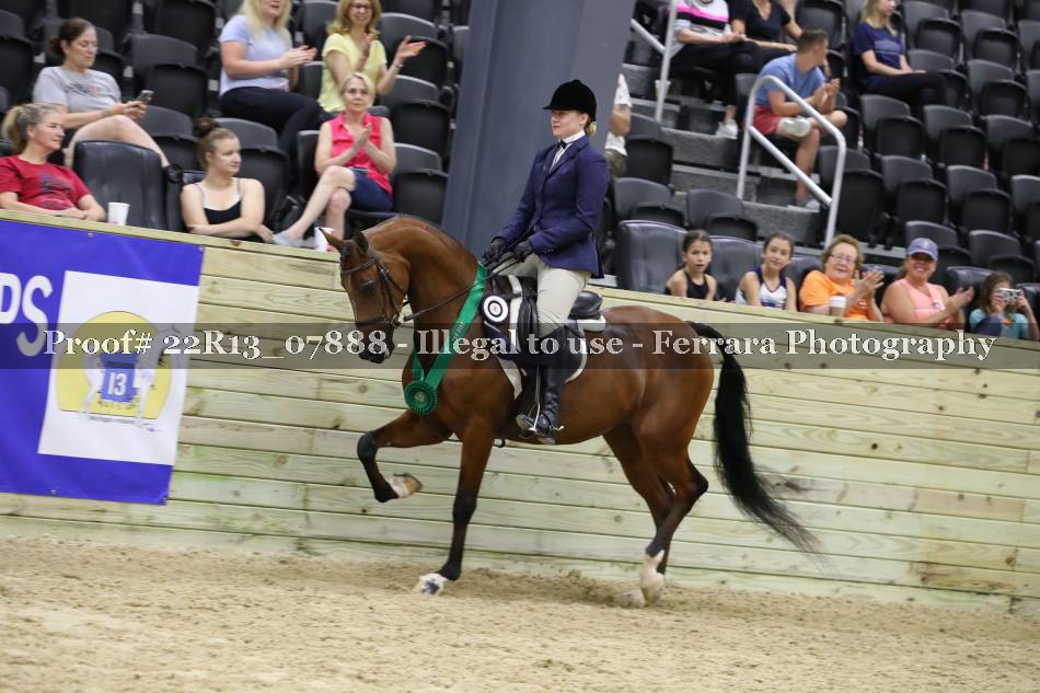 Proof 22R13_07888