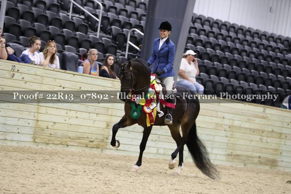 Proof 22R13_07892