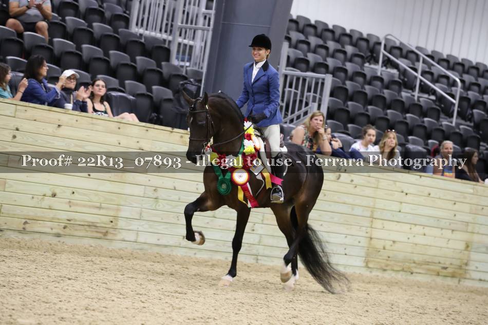 Proof 22R13_07893
