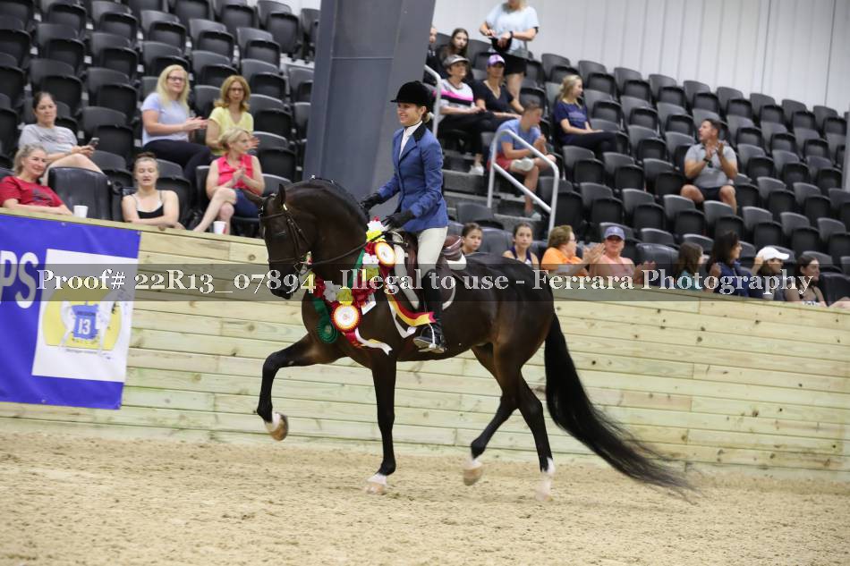 Proof 22R13_07894