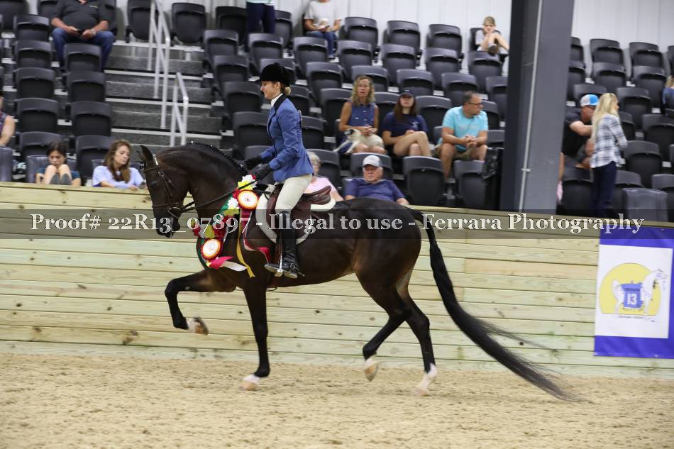 Proof 22R13_07897
