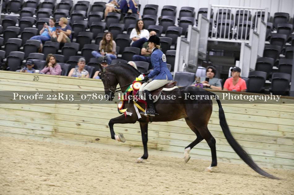 Proof 22R13_07899