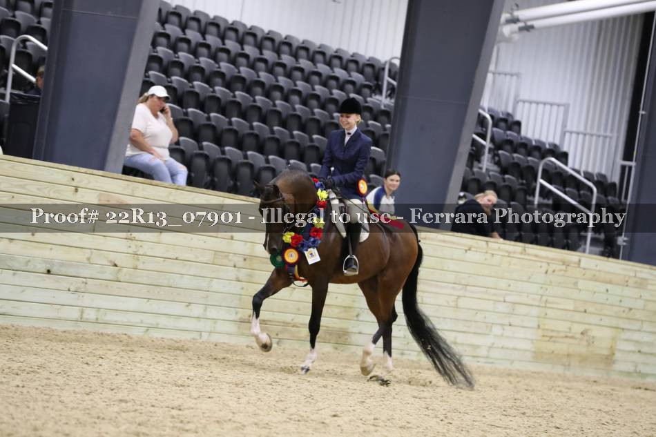 Proof 22R13_07901