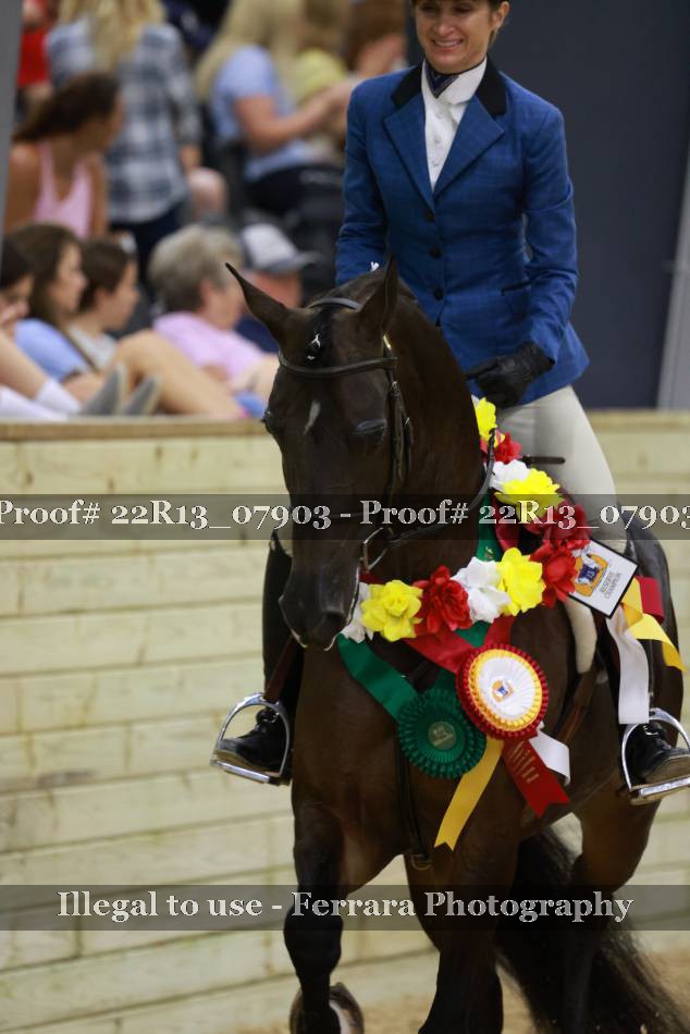 Proof 22R13_07903
