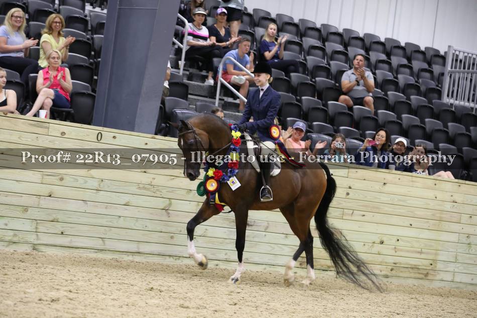 Proof 22R13_07905