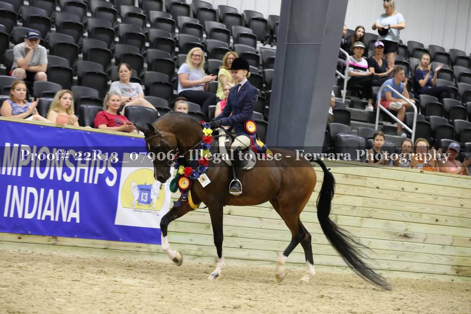 Proof 22R13_07906