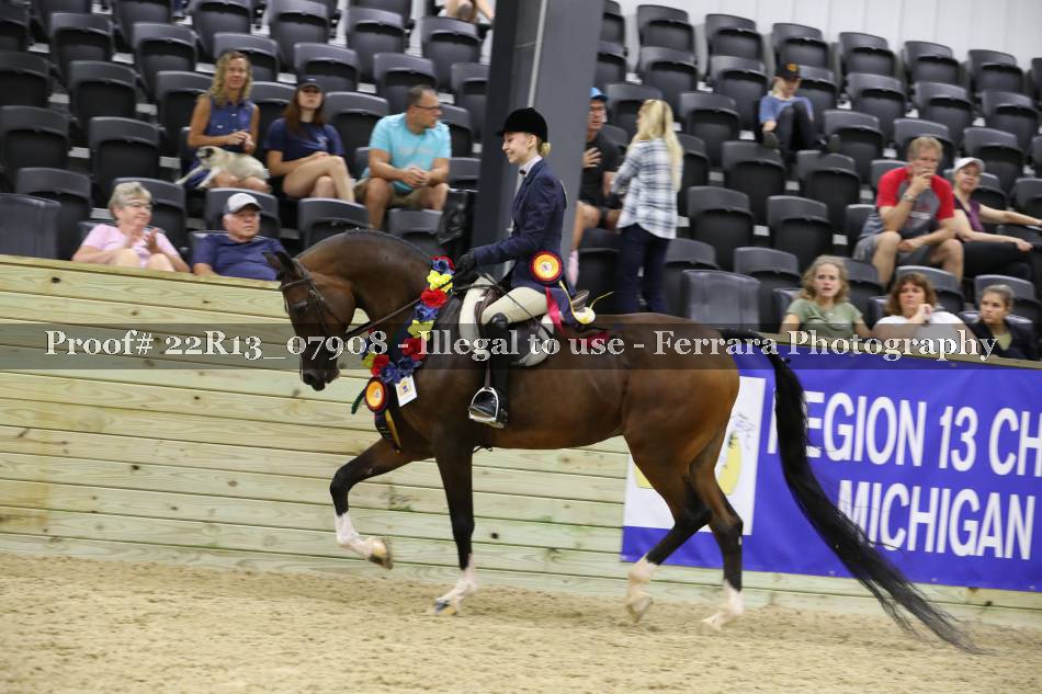 Proof 22R13_07908