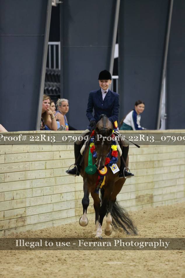 Proof 22R13_07909
