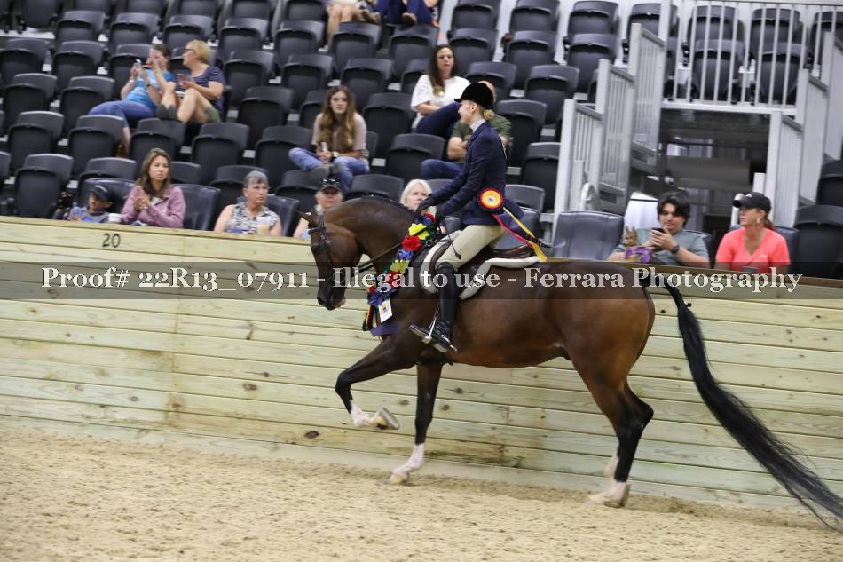 Proof 22R13_07911