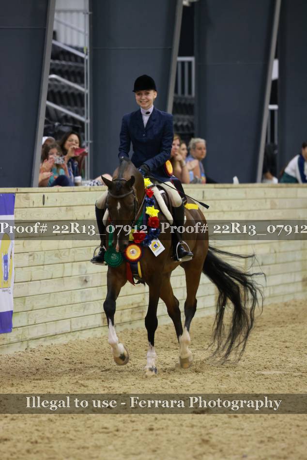 Proof 22R13_07912