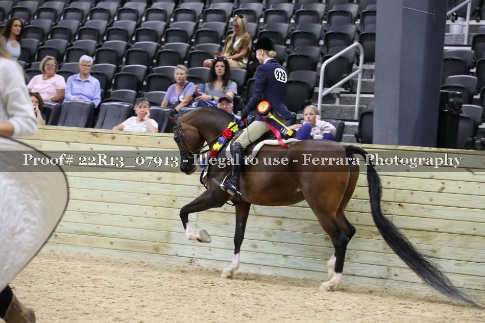 Proof 22R13_07913