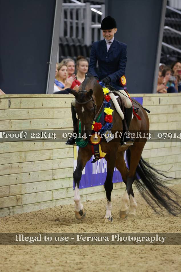 Proof 22R13_07914