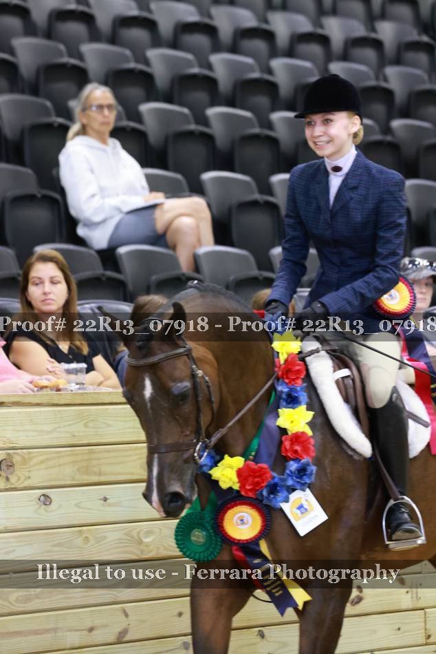 Proof 22R13_07918