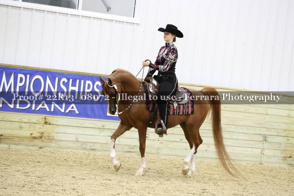 Proof 22R13_08072