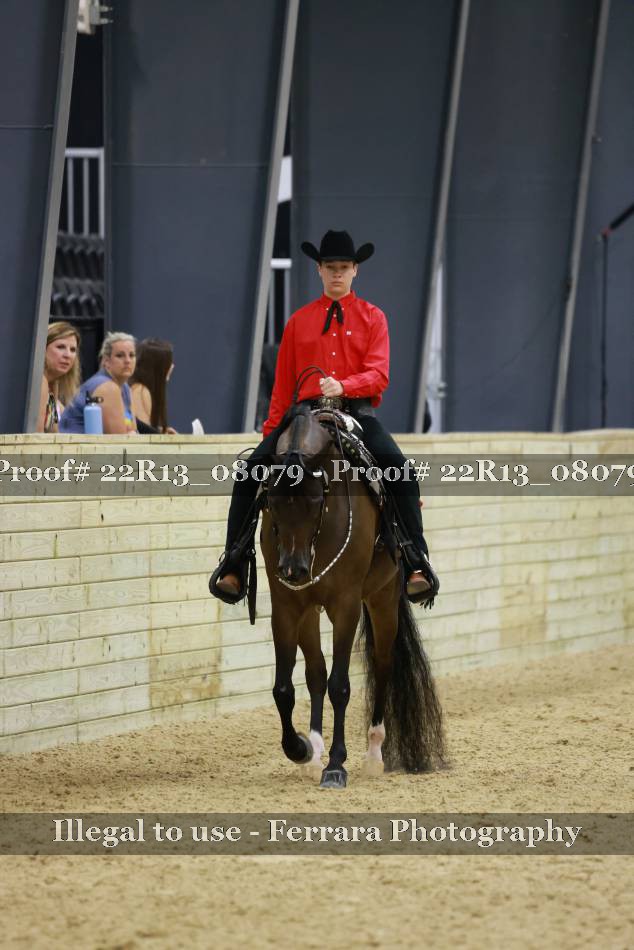 Proof 22R13_08079