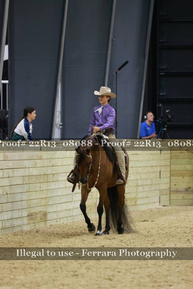 Proof 22R13_08088