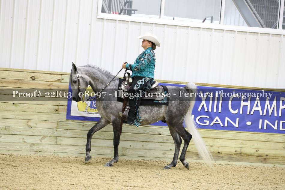 Proof 22R13_08097