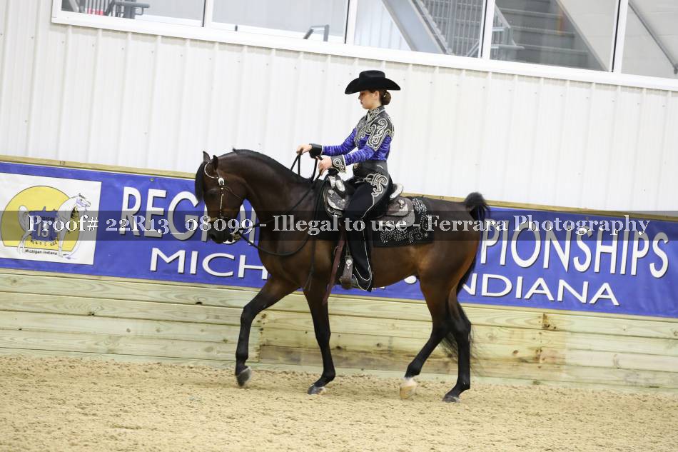 Proof 22R13_08099