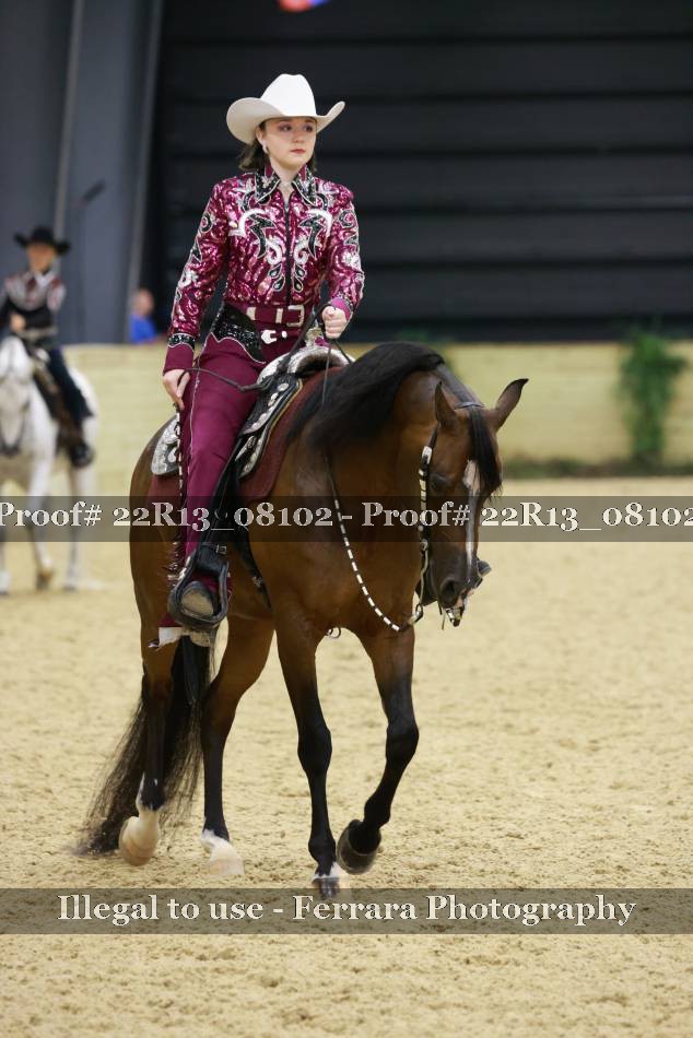 Proof 22R13_08102
