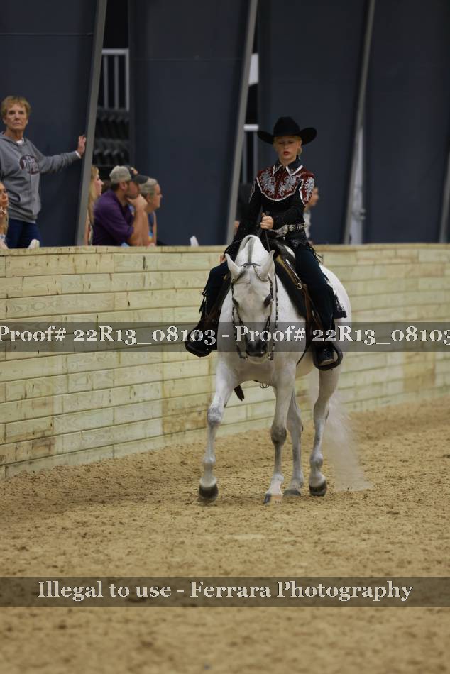 Proof 22R13_08103