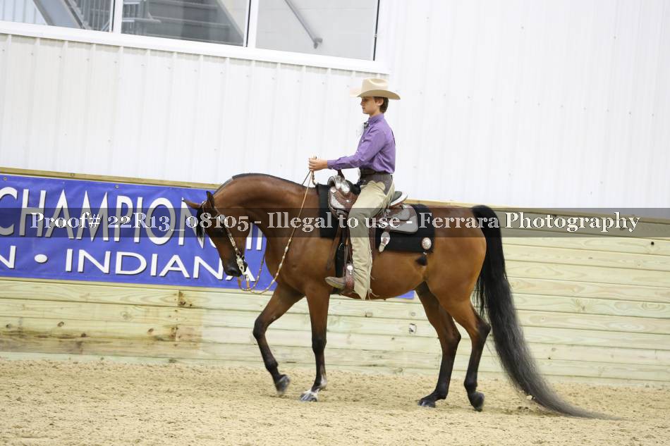 Proof 22R13_08105
