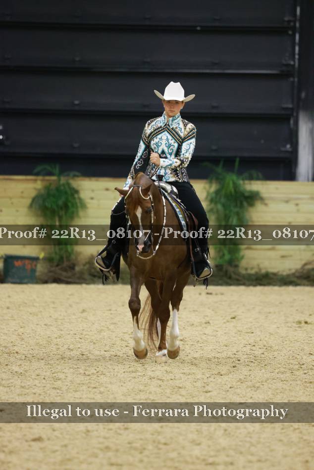 Proof 22R13_08107