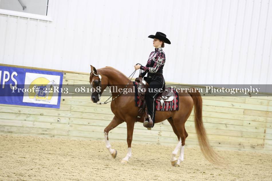 Proof 22R13_08108